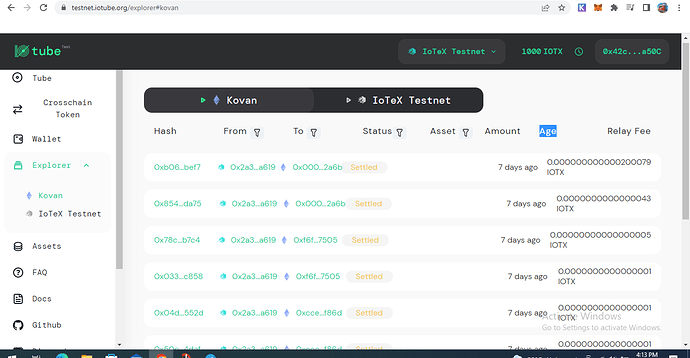 iotube testnet